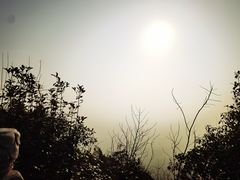 -杭州半山国家森林公园