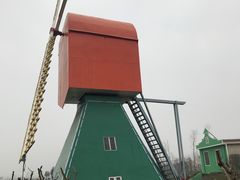 -荷兰花海