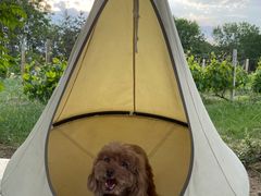 -安德鲁户外烧烤帐篷营地(马泉营店)