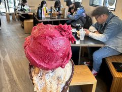 -Patagonia Chocolates(皇后镇店)