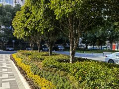 -杭州城中香格里拉大酒店