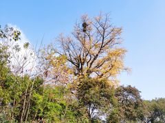 -宝界山林公园