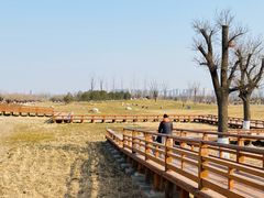 -汉长安城未央宫国家考古遗址公园