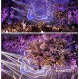 成都婚礼｜[调皮]你有想象过紫色调的梦幻婚礼吗