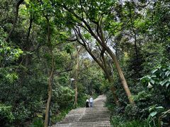 -广州市白云山风景名胜区