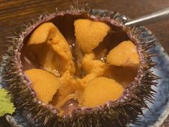 -桂马·日本料理·海胆·海鲜饭·酒场(民主广场店)