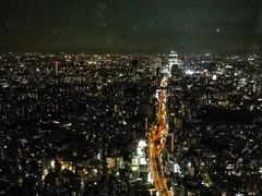-六本木新城展望台(东京城市景观)