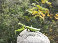 -孤山寨风景区