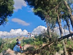 -长虫山生态公园风景林