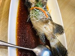 -宝燕壹号(徐汇店)