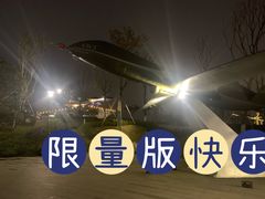 -成飞公园