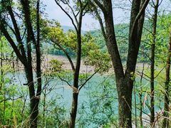 -泽雅景区