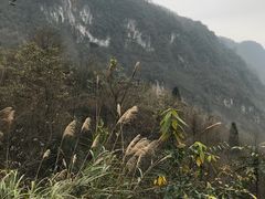 -四川省成都市彭州市白鹿镇