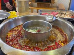 -金鼎雪山牦牛杂火锅(理县总店)