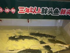 -咱屯子铁锅炖直营店(保利店)