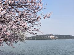 -颐和园