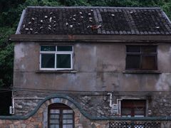 -东沙渔村