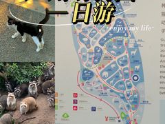 -广州动物园
