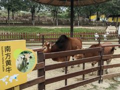 -盈香心动乐园