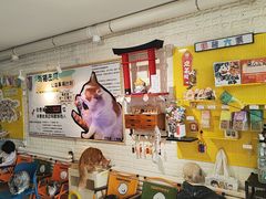 -平行世界·猫咖(首经贸店)