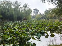 -中国翰园碑林