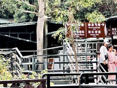 -海南槟榔谷黎苗文化旅游区