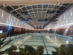 环境-丽彩天祺酒店-自助餐厅