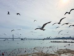 -星海广场