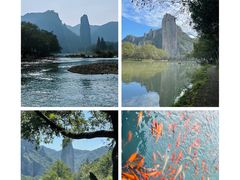 -杨家堂村