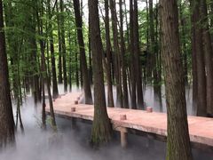 -东湖落雁景区