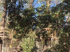 -蟠龙山长城景区