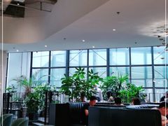 大堂-大树餐厅(红旗街万达店)