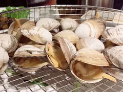 白蚬子-海味当家·蒸锅海鲜(星海公园店)
