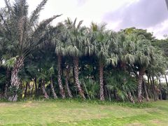-深圳湾公园(南山区)
