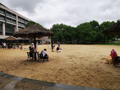 -上海佘山世茂艾美酒店