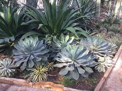 -北京植物园-展览温室