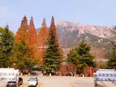 -石岛赤山风景区