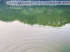 -广州市帽峰山景区