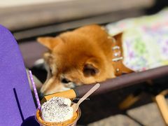 -HANA COFFEE(长寿路店)