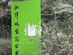 -西湖风景区-江洋畈生态公园