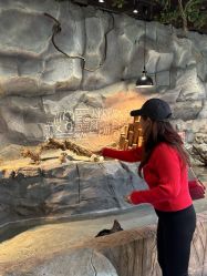 -Zoolung Zoolung动物主题公园(海信广场店)