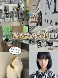 -蚂蚁造型俱乐部