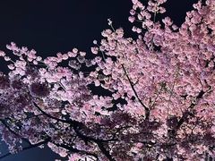 -东湖磨山景区