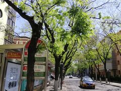 -金凤成祥(白广路店)