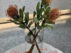 -HUGS coffee(东区店)