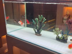 -香港倾城国际·美容美体中心