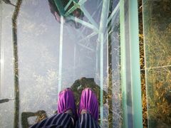 -陶祖圣境风景区