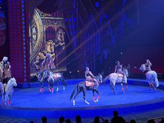 -珠海横琴长隆《卡卡虎奇遇记》