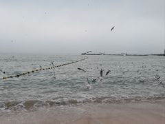 -青岛第一海水浴场