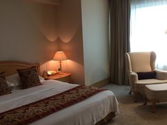 -南京维景国际大酒店(南京博物院店)